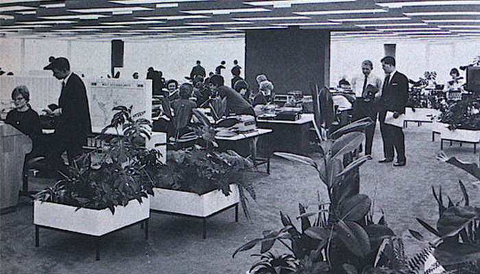 Bürolandschaft: The History of the Office